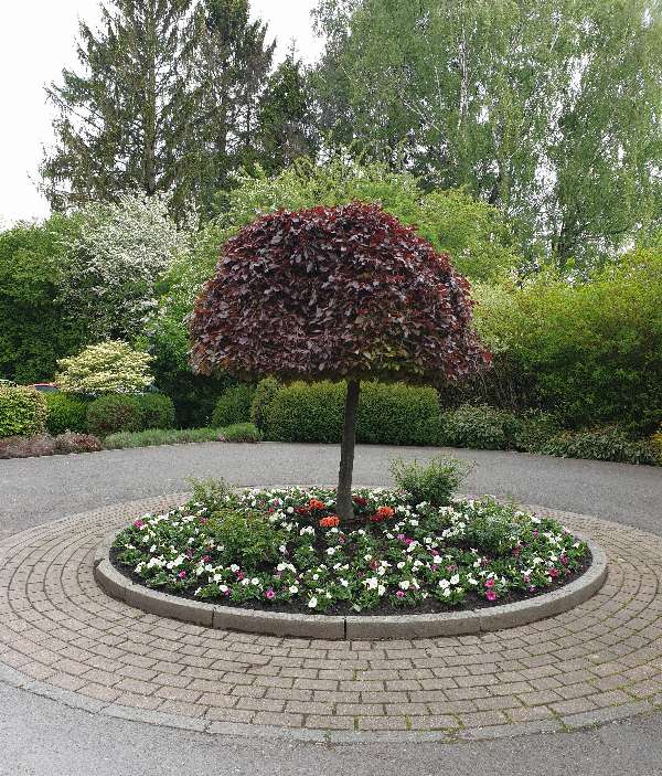 Au Jardin du Coeur  Maisons de repos  Fléron